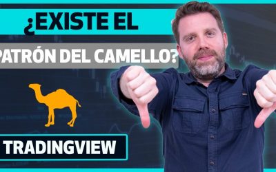 ¿Existe el patrón del camello? por Dany Perez Trader