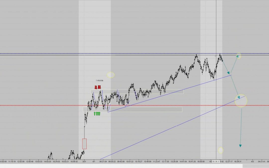 Trading premarket forecast by Dany Perez Trader