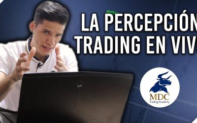 Percepción: factor clave en Trading