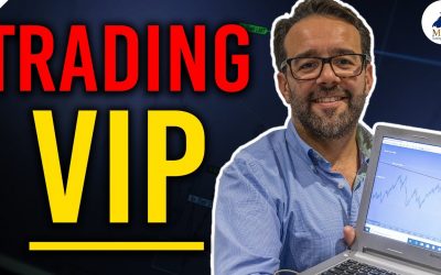 Entrenamiento VIP de Trading: Tú, Un Senior Trader y 5 días intensivos frente a frente