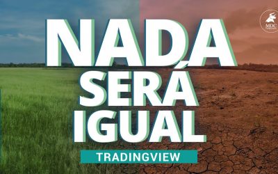 Sobrevivimos a la cuarentena | Escenario bolsa de valores para el futuro | China cae pérdidas