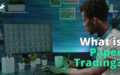 Discover What is Paper Trading and How it can Help You!