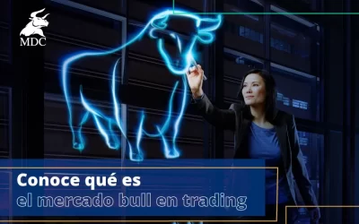 Mercado Bull en Trading: ¿Cómo puedes aprovecharlo?