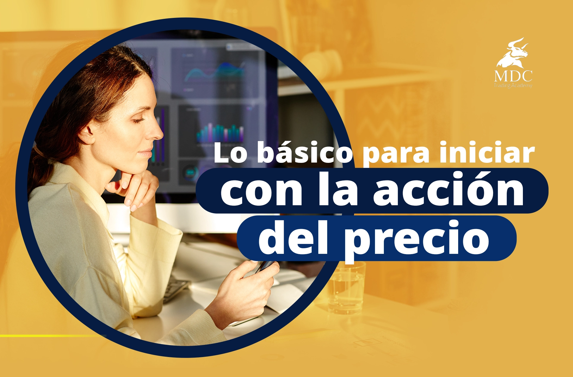 acción del precio para principiantes