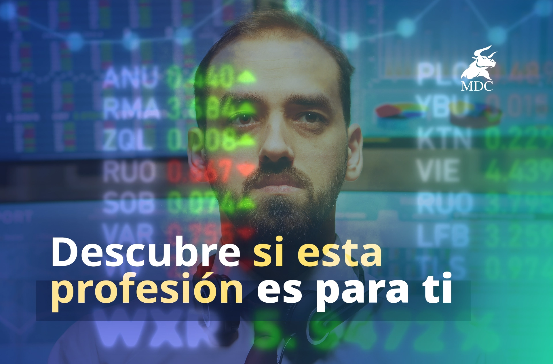 El trading es para ti