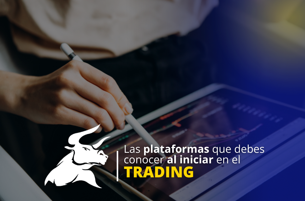 Cuáles plataformas de trading para principiantes son las mejores