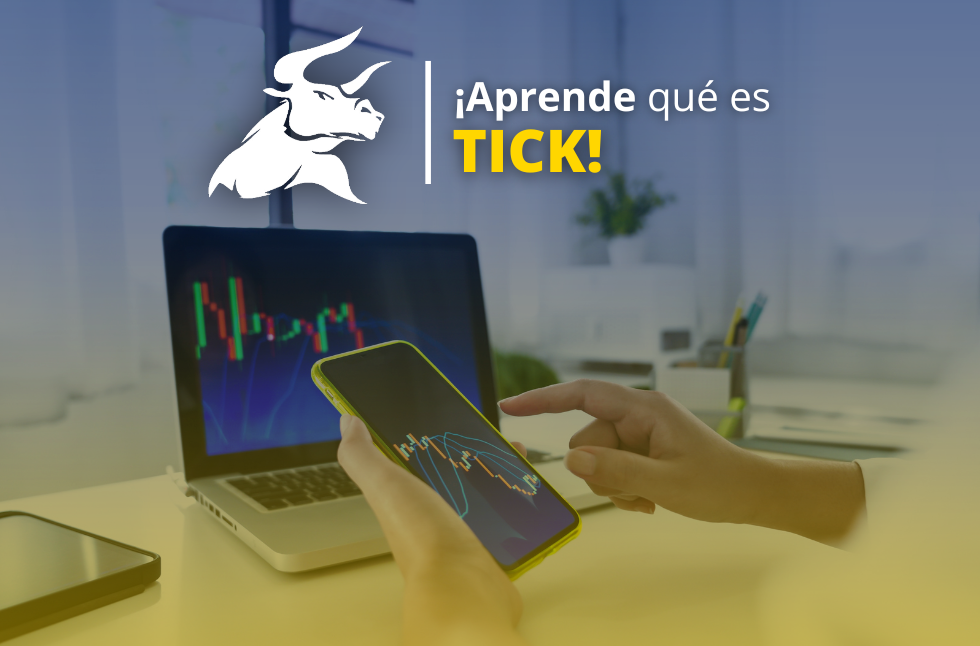 ¿Qué es un Tick? Un concepto básico que debes aprender
